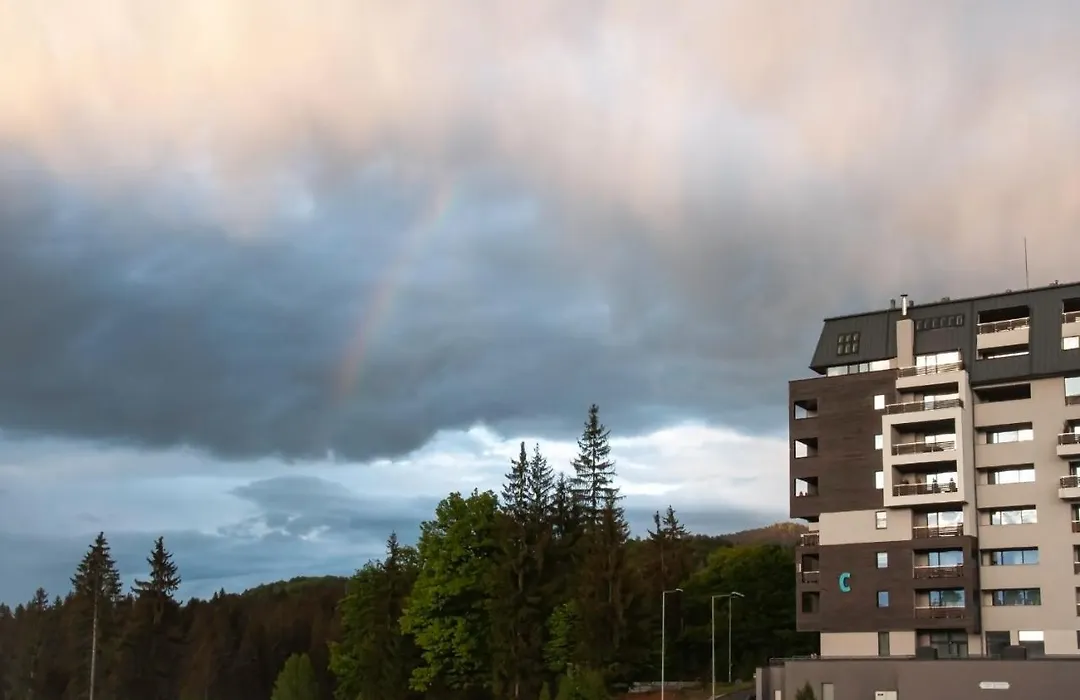 Forest View Apartment B12 In Silver Mountain Resort-1
