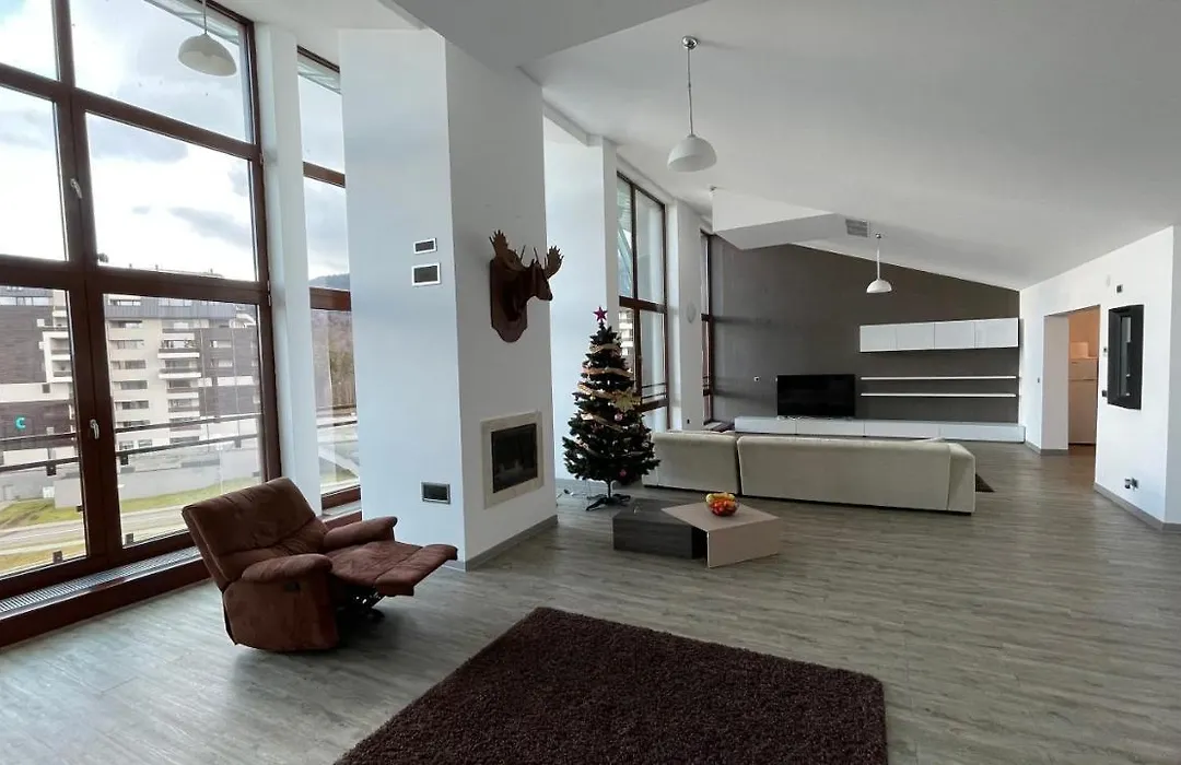 Ted Penthouse Silver Mountain-1