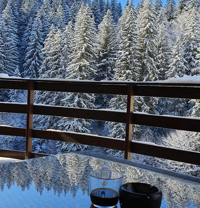 Apartament Ozon Poiana Brasov-1