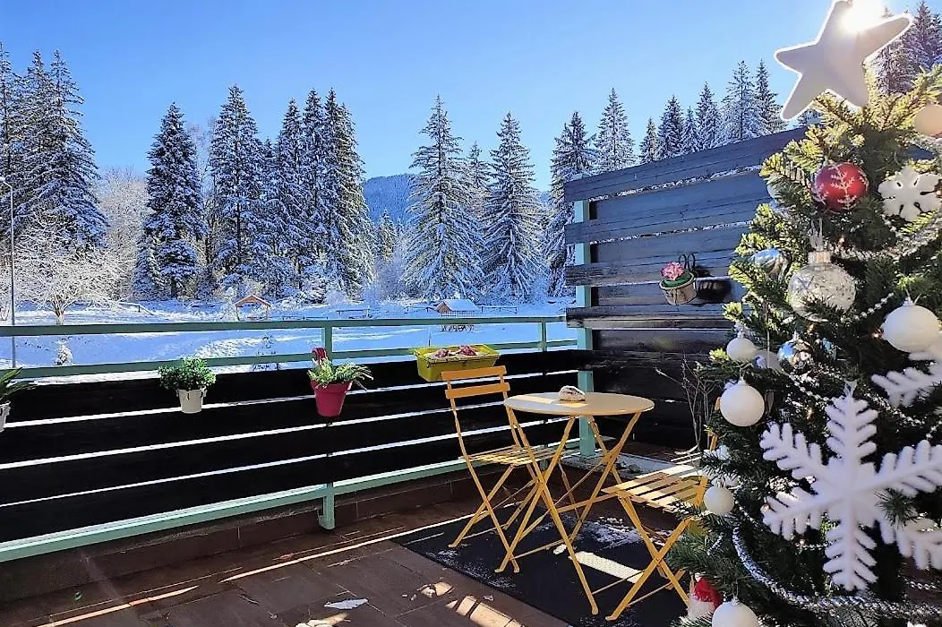The Evergreen Nest - Silver Mountain-1