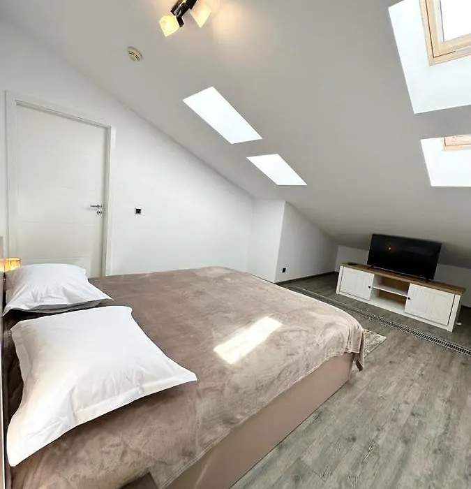 Forest View Silver M B34 Poiana Brasov-1