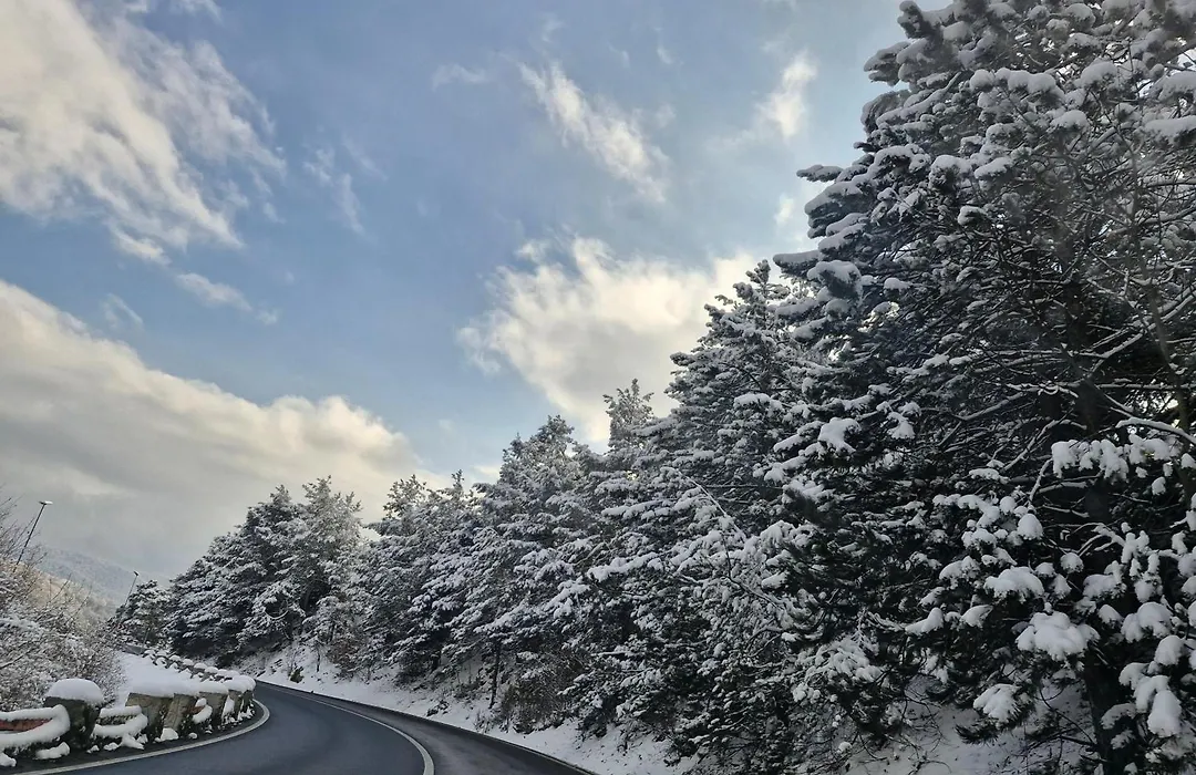 Studio Poiana Brasov-1