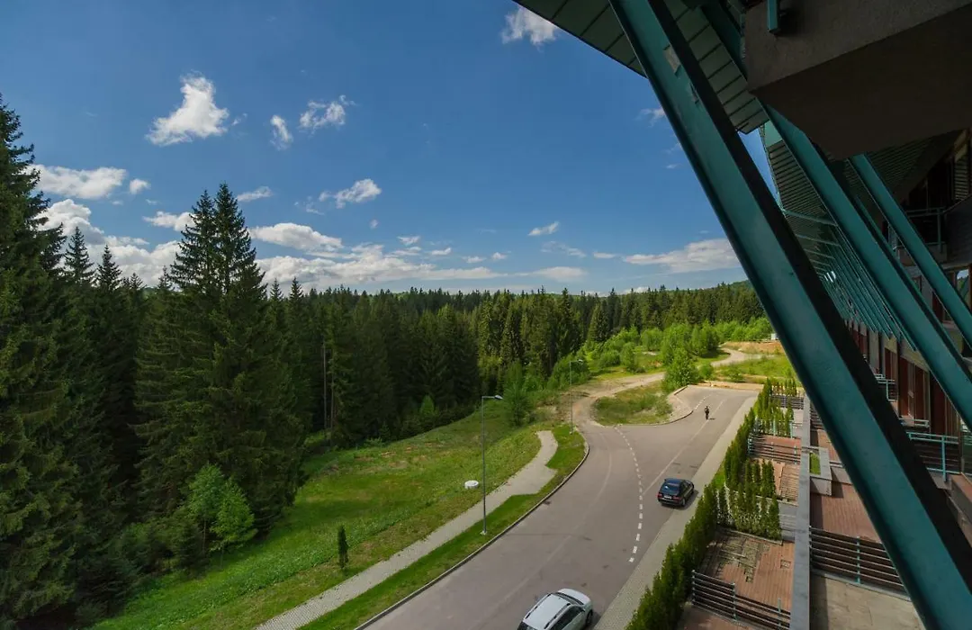 Timber View Apartment Silver Mountain Poiana Brasov-1