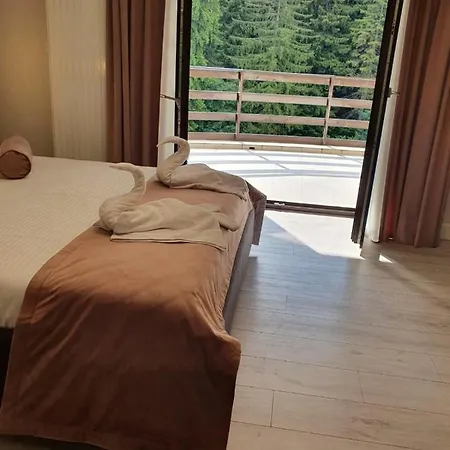 Apartament Ozon Poiana Brasov-3