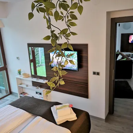 The Evergreen Nest - Silver Mountain-2