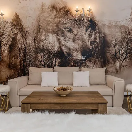 Aki Studio Silver Mountain Poiana Brasov-2