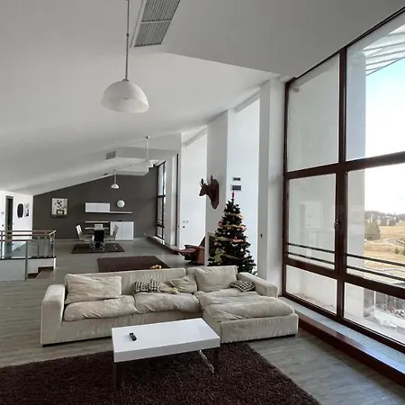 Ted Penthouse Silver Mountain-2