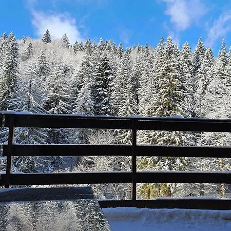 Apartament Ozon Poiana Brasov-2