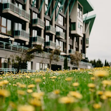 Forest View Apartment B12 In Silver Mountain Resort-2