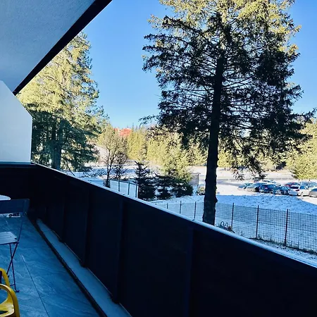 Ski Retreat-2