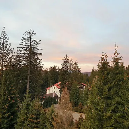 Harmony Apartment Poiana Brasov-2