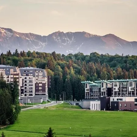 Forest View Silver M B34 Poiana Brasov-3