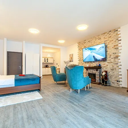 Joy Studio - Poiana Brasov - Silver Resort-3