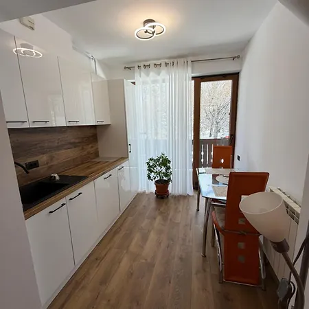 MONTANA TIMALY Poiana Brașov-3