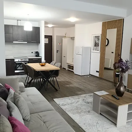 Ambient Apartment In Silver Montain - Poiana Brasov-2