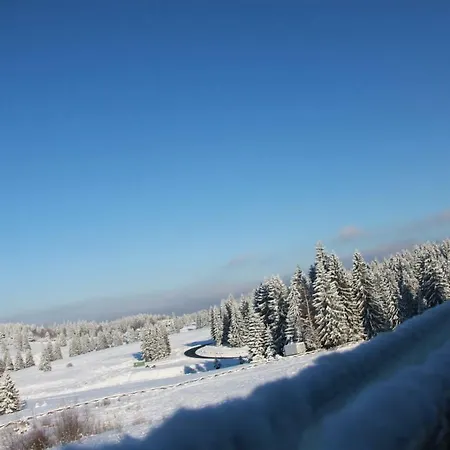 Silver Mountain-3