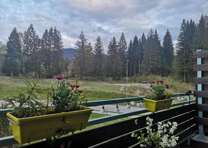 The Evergreen Nest - Silver Mountain Poiana Braşov