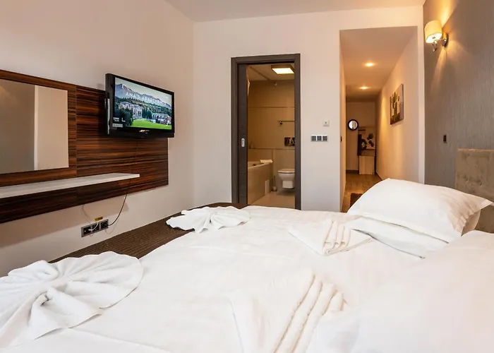 Silver Mountain - Ana'S Apartments Poiana Braşov