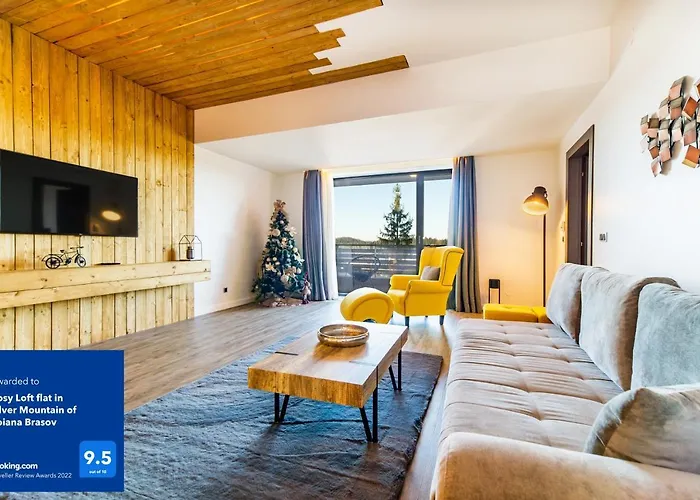 Cosy Loft Flat In Silver Mountain Of Poiana Braşov
