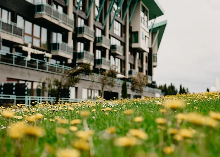 Forest View Apartment B12 In Silver Mountain Resort Poiana Braşov