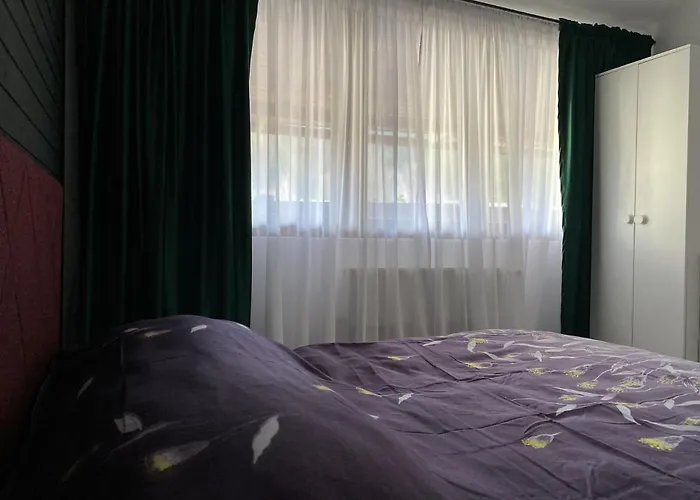 Alvi Apartment Poiana Braşov