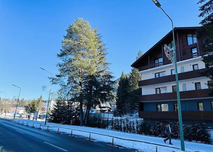 Ski Retreat Poiana Braşov
