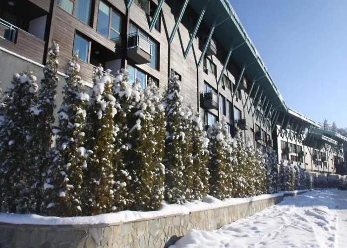 Forest View Silver M B34 Poiana Braşov