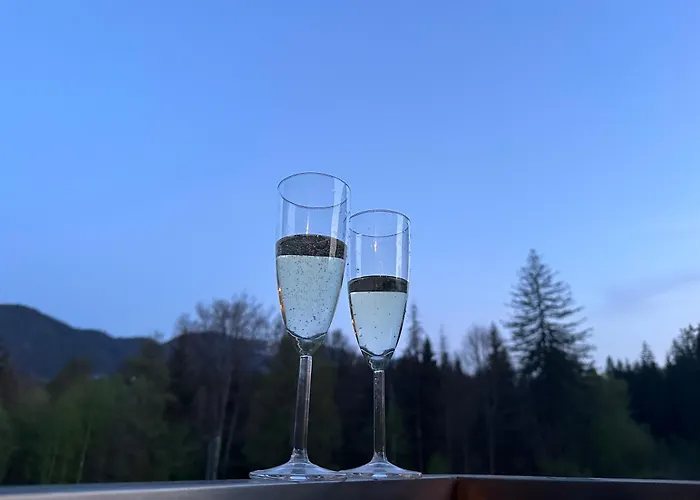 Apartamentul Verde Silver Mountain Poiana Brașov