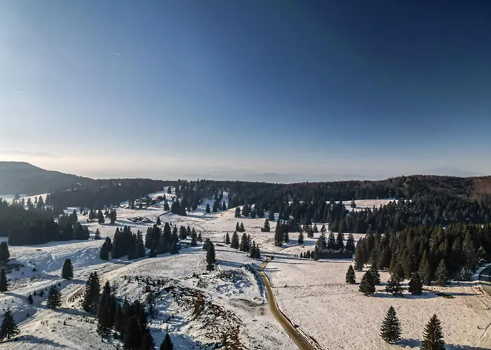 Albert Residence Aparthotel Grand Chalet With Special Rate To Spa Alpin Resort Book 2 Nights Stay 3 Poiana Braşov