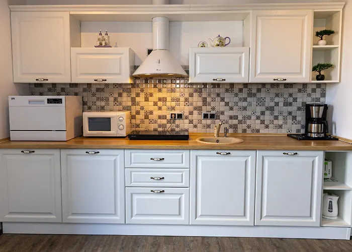 English Home In Silver Mountain Resort Poiana Braşov