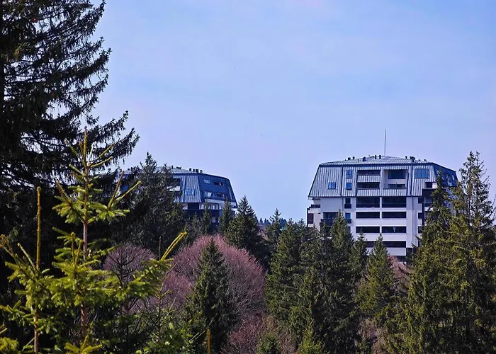 Dor Apartment Poiana Braşov