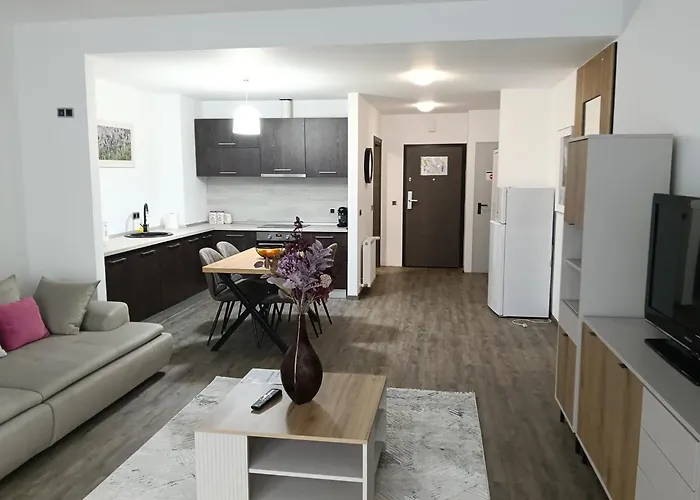 Ambient Apartment In Silver Montain - Poiana Braşov