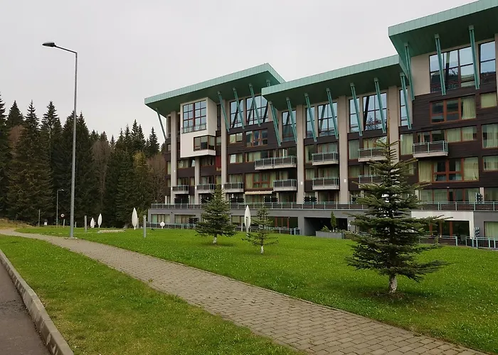 Silver Poiana Brasov Ap 41