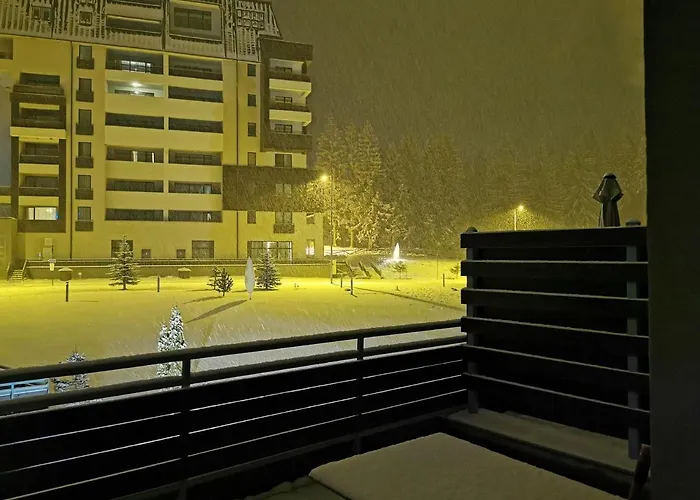 Silver Mountain A21 Friendly Apartment Poiana Braşov